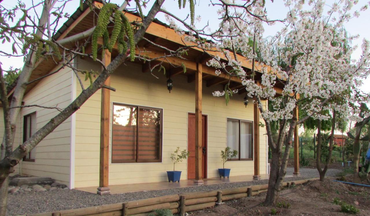 Nogales Apartamento