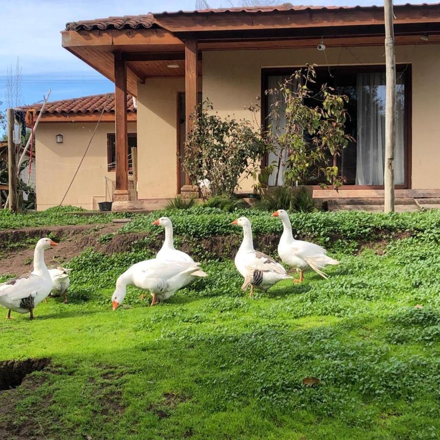 Apartamento Nogales Santa Cruz