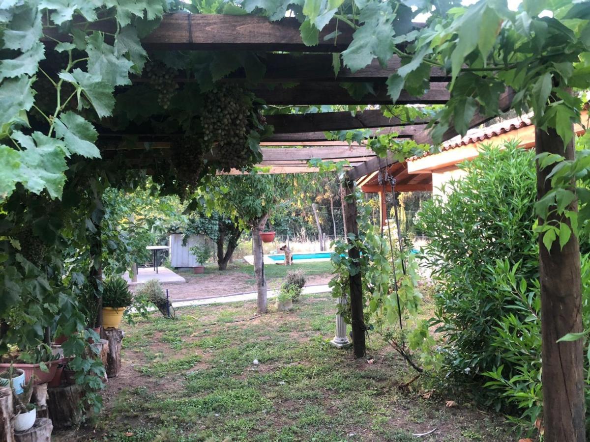 Nogales *