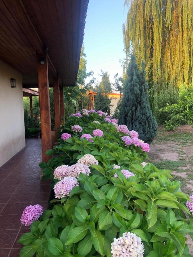 Apartamento Nogales *